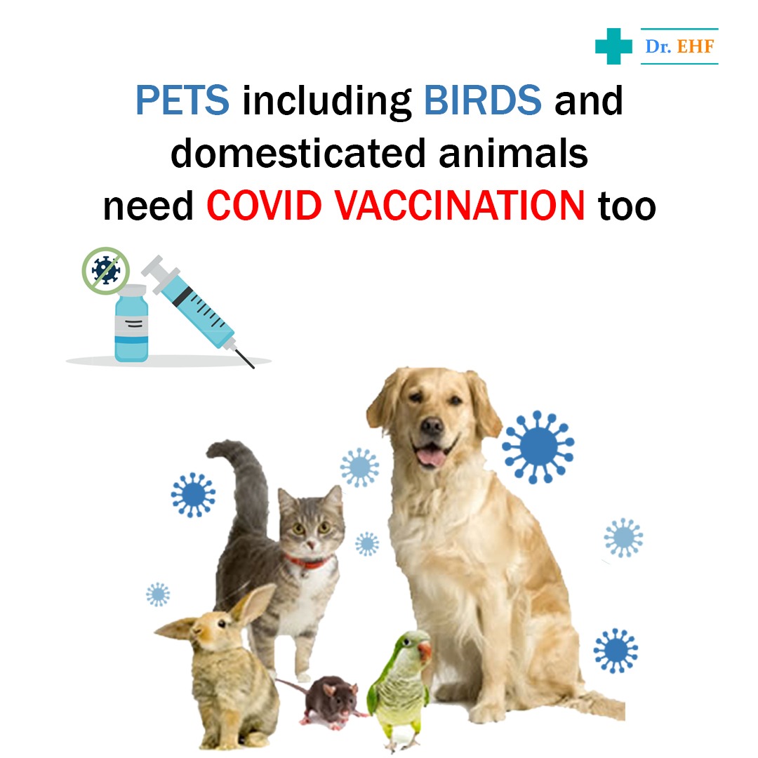 Animals and Birds-Need COVID Vaccination Too